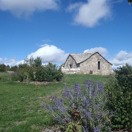 הוילה Saint-Rome-de-Dolan Chapelle Du Domaine De Bombes מראה חיצוני תמונה
