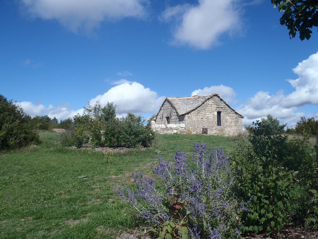 הוילה Saint-Rome-de-Dolan Chapelle Du Domaine De Bombes מראה חיצוני תמונה